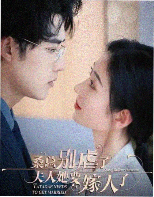 飞龙影视资讯配图，档案柜中的条目卡片与标签
